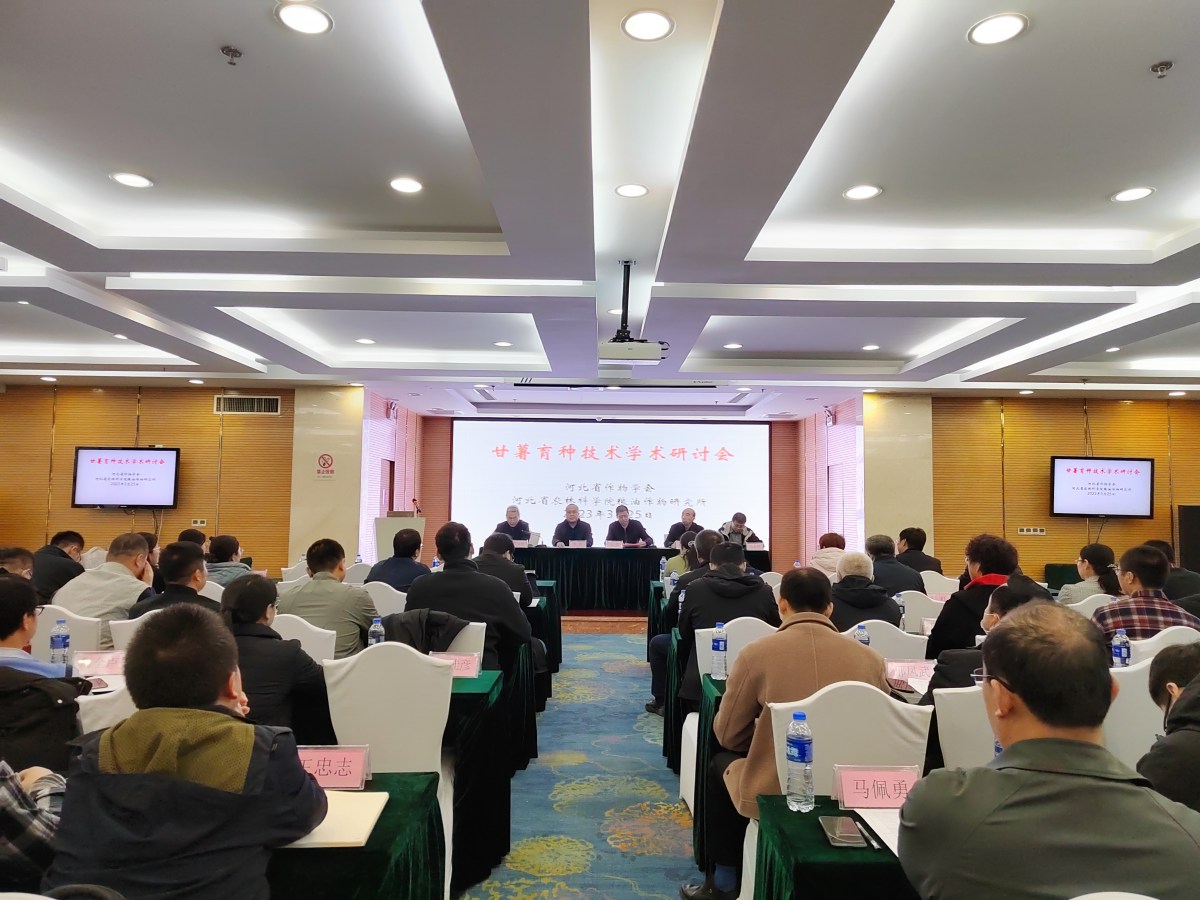 我所成功举办甘薯育种技术学术研讨会