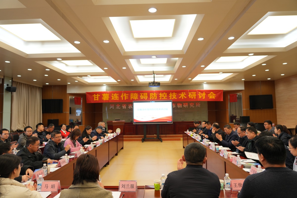 院党组成员、副院长张强参加我所召开的“甘薯连作障碍防控技术研讨会”