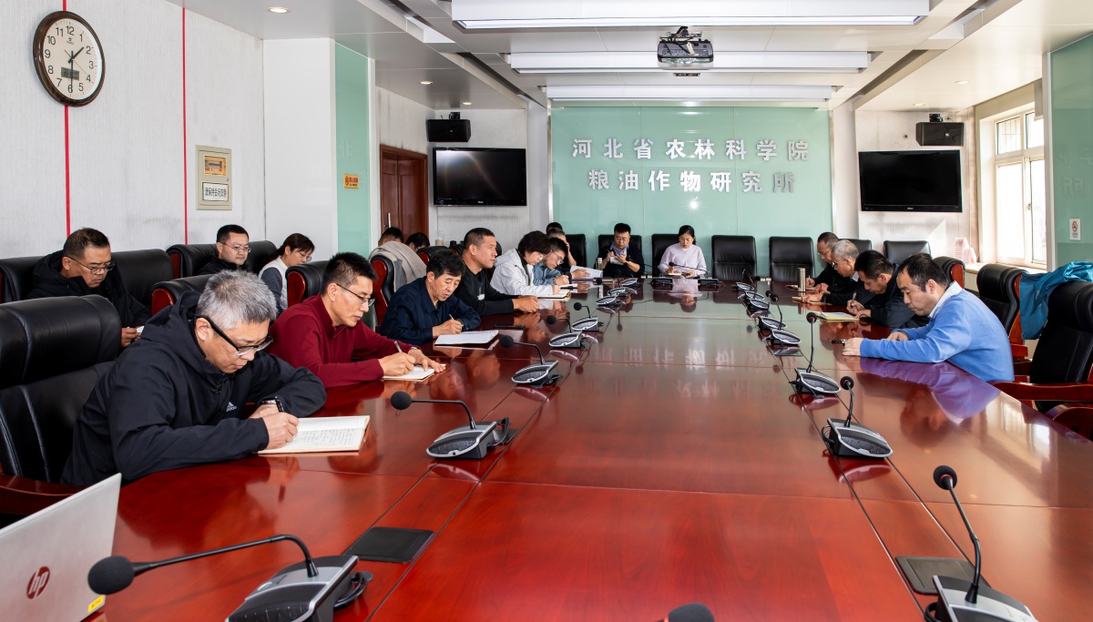 我所召开“十五五”科技发展规划编制工作安排部署会