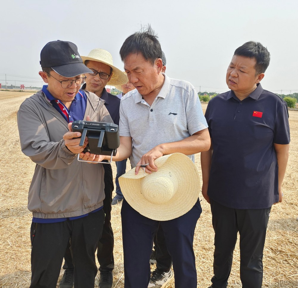 我所在宁晋基地成功召开夏收夏种智慧化作业观摩暨小麦实收测产会