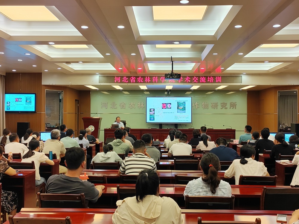 国家甘薯产业技术体系首席科学家李强研究员莅临我院进行学术交流