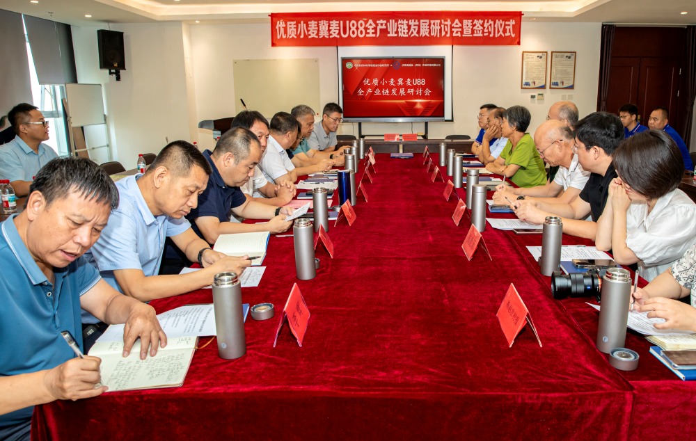 我所优质小麦冀麦U88全产业链发展研讨会顺利召开