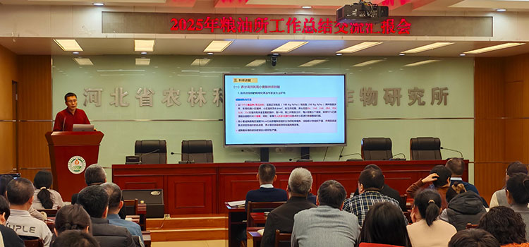 我所召开2025年度工作总结交流汇报会