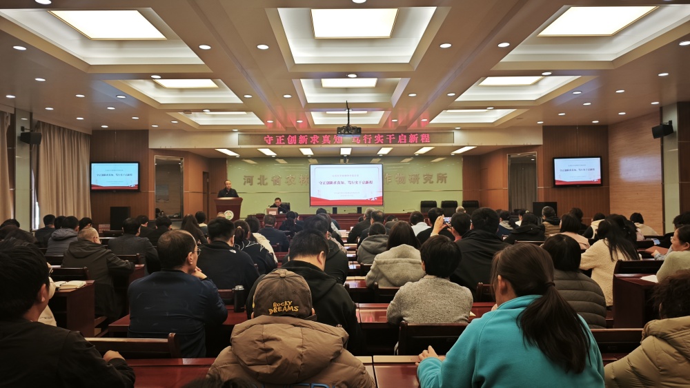 守正创新求真知，笃行实干启新程 ——我所举办弘扬科学家精神专题讲座