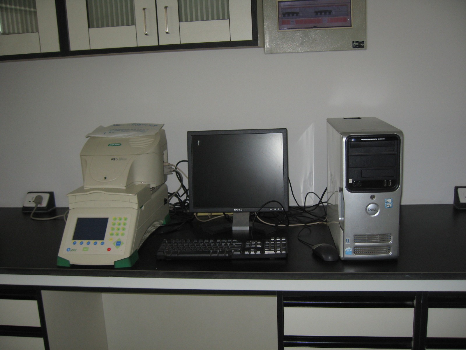 荧光定量PCR仪.jpg