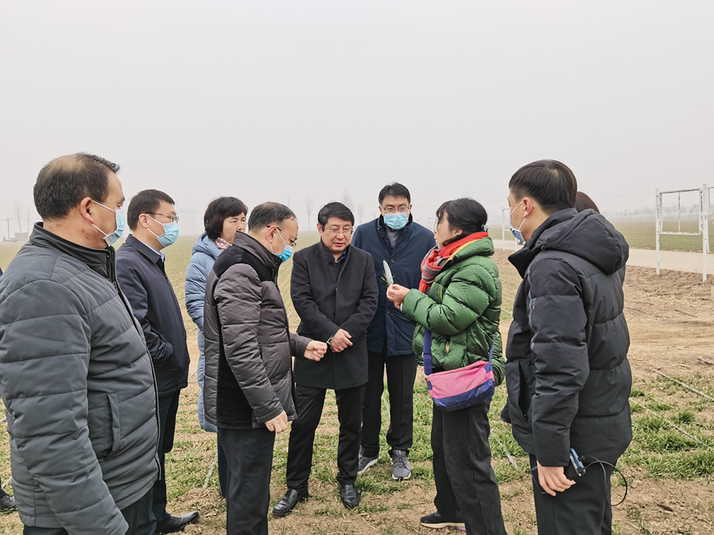 首页>要闻我所贾秀领研究员汇报了基地示范的小麦品种和绿色高效生产