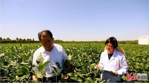 1653895814221.jpg 01.jpg