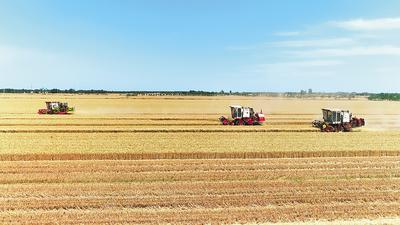 1664336057847.jpg e69575d6-4c88-40cc-a445-669b0890693b.jpg.jpg