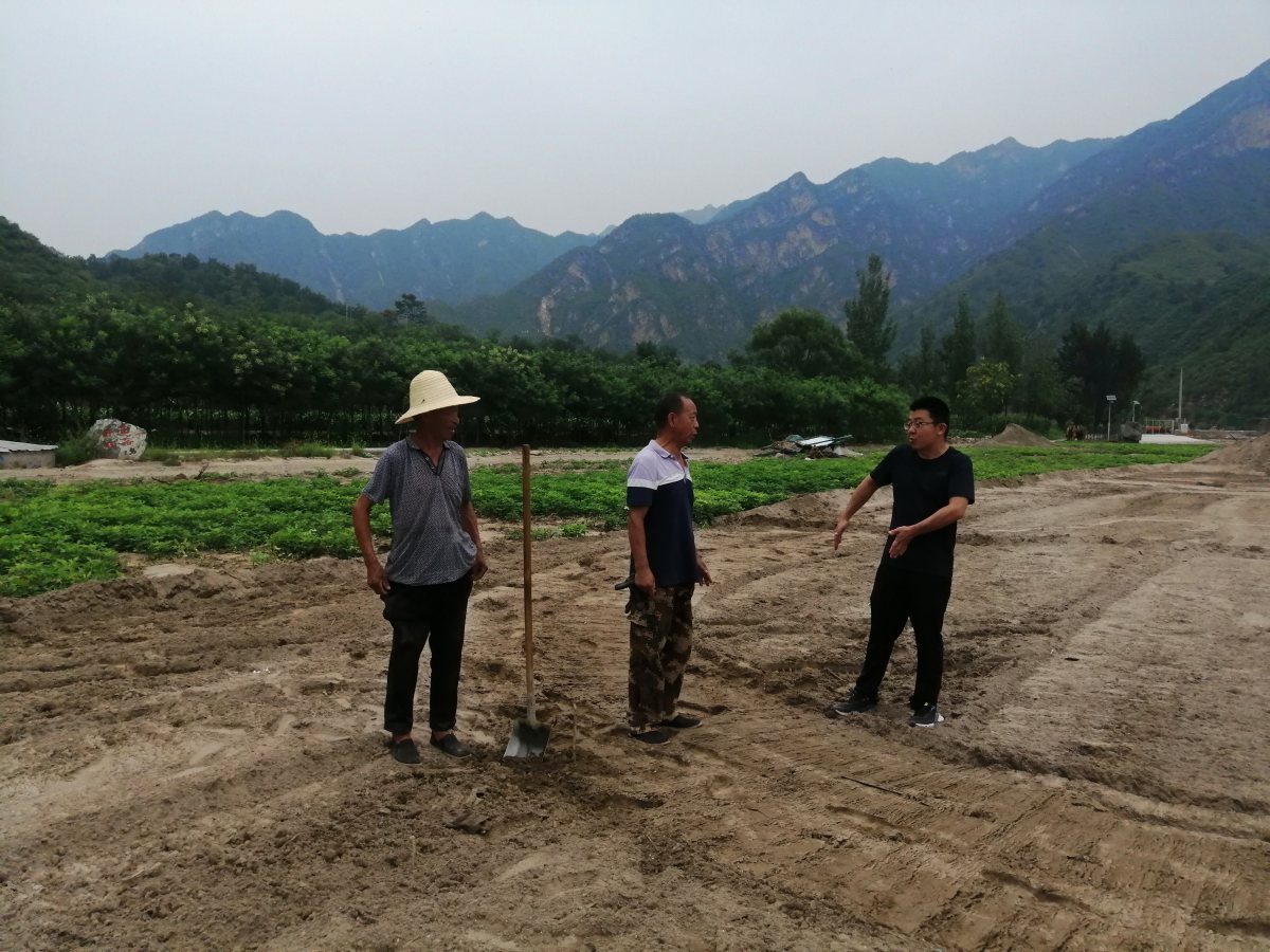 涿鹿-1_20230905142630_副本.jpg