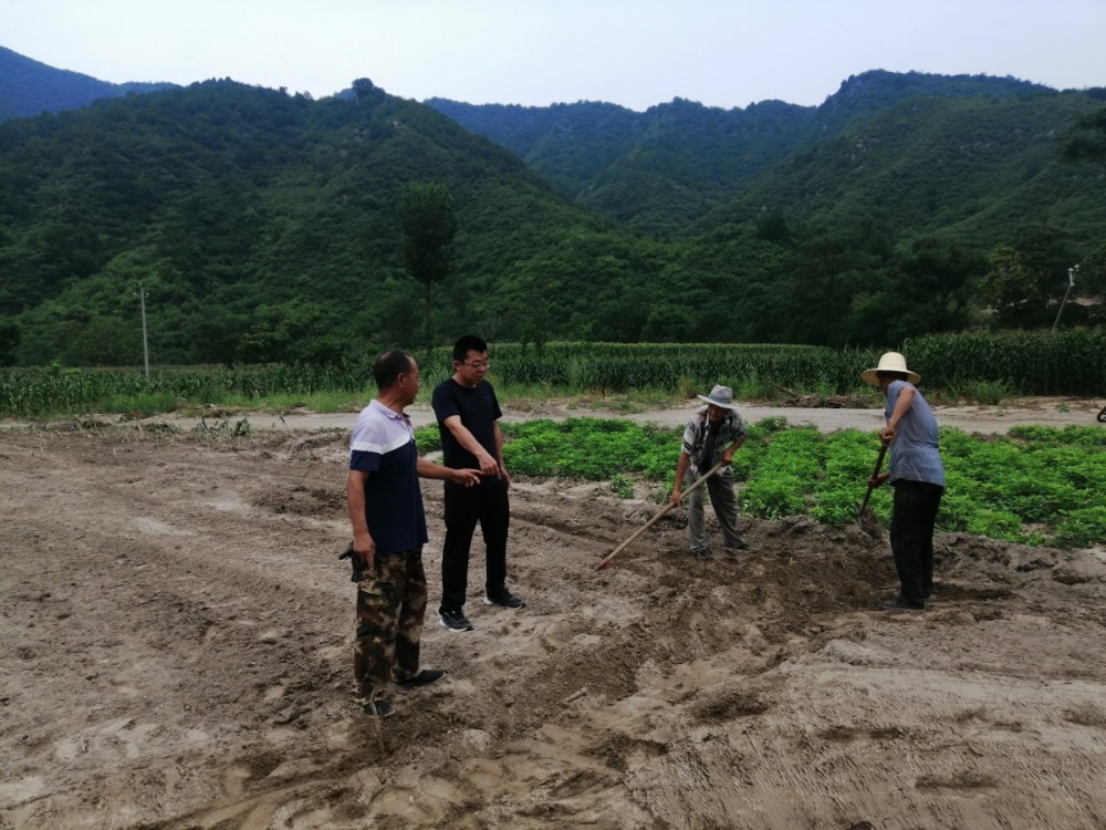 涿鹿-2_20230822160713_副本.jpg