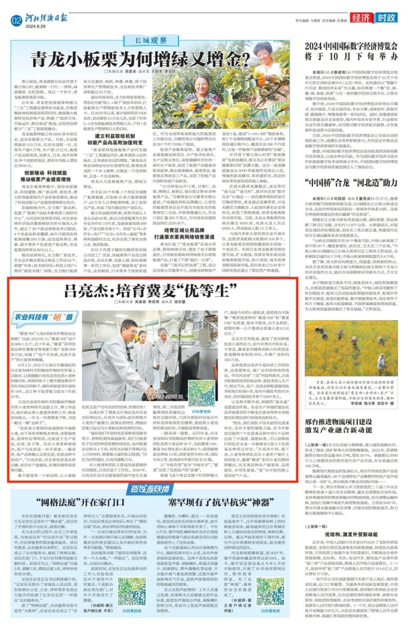 吕亮杰：培育冀麦“优等生”_00_副本.jpg