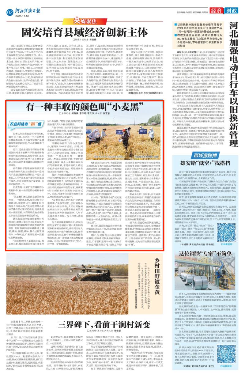有一种丰收的颜色叫“小麦黑”_00_副本.jpg
