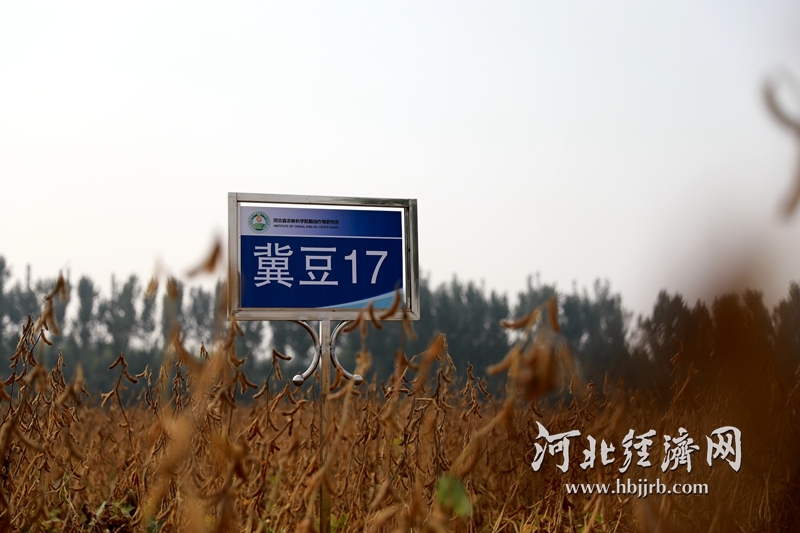 6_副本.jpg