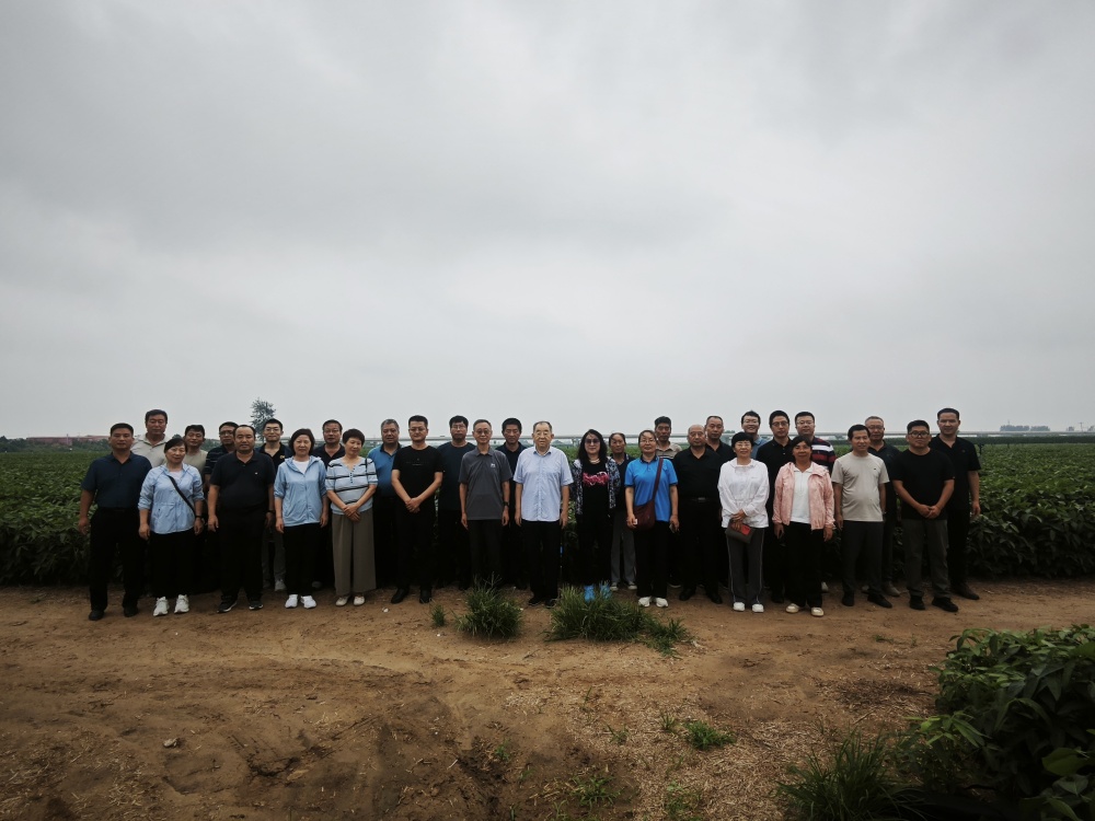 1754896213942.jpg 3_副本.jpg