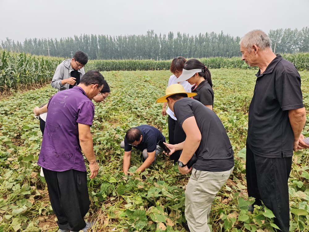 1756279911985.jpg 1_副本.jpg