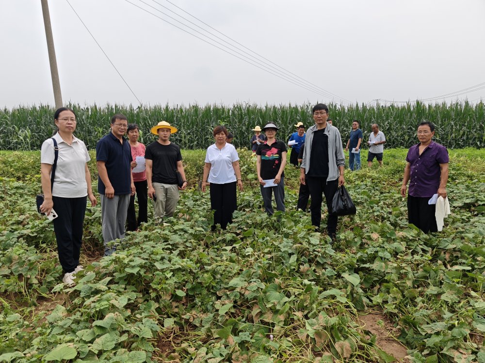 1756279918624.jpg 2_副本.jpg