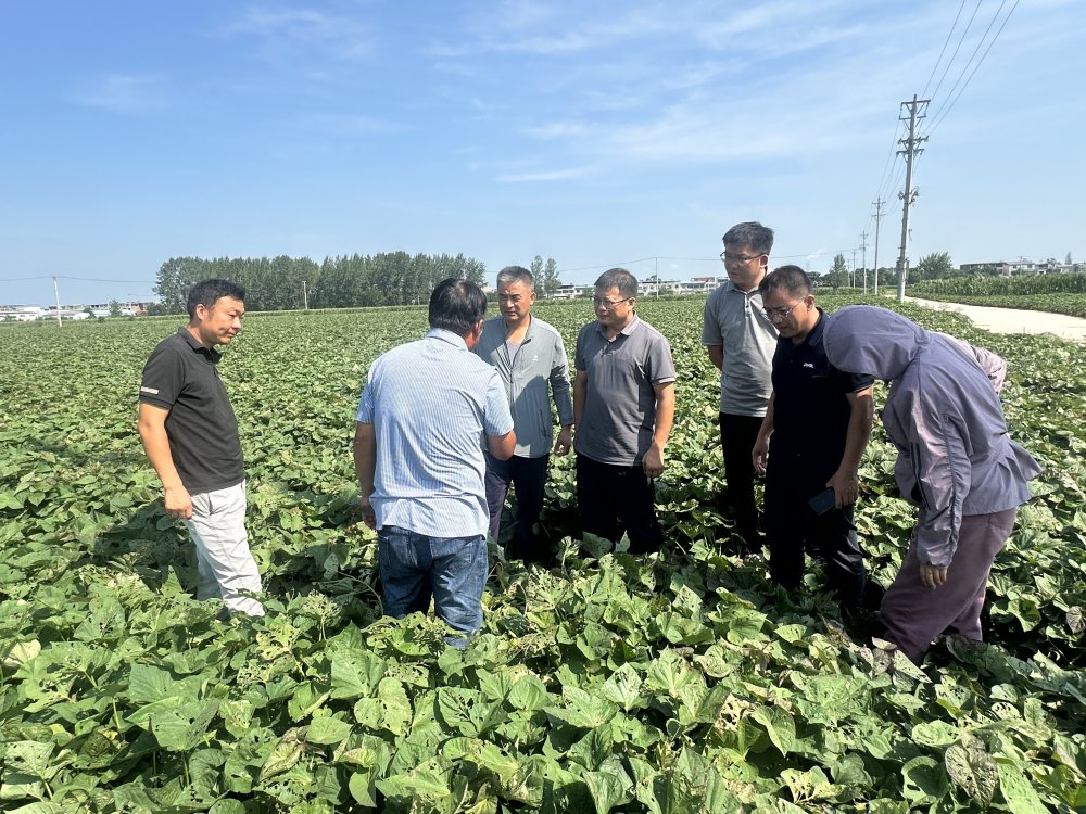 1756279926265.jpg 3_副本.jpg