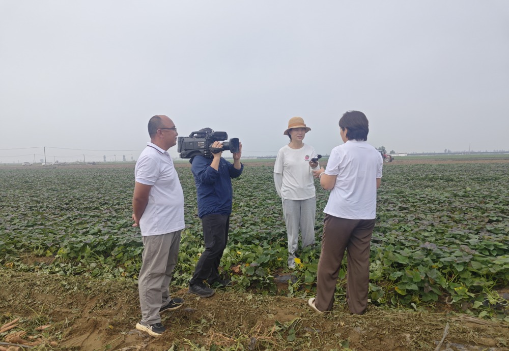 1756279932222.jpg 4_副本.jpg