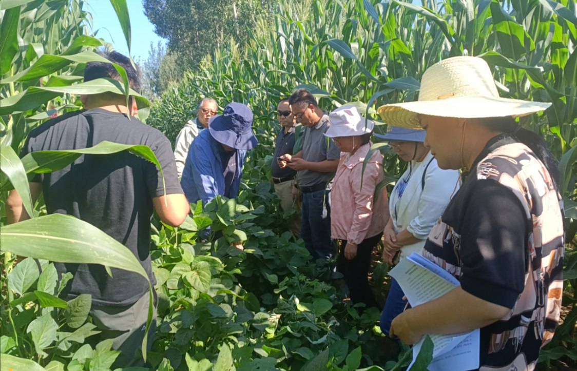 1757054646962.jpg 1_副本.jpg