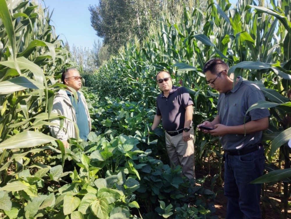 1757054654349.jpg 2_副本.jpg