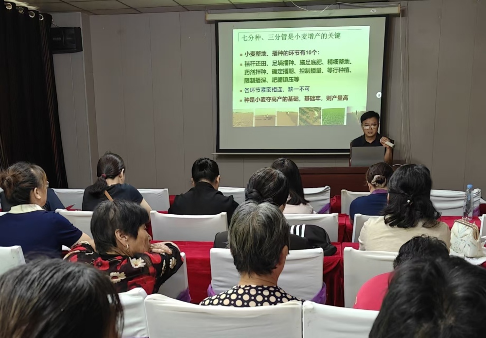 1758183762287.jpg 1_副本.jpg