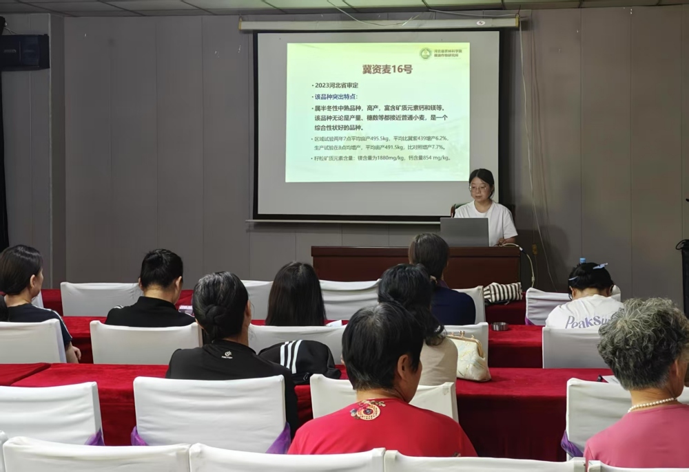 1758183767827.jpg 2_副本.jpg