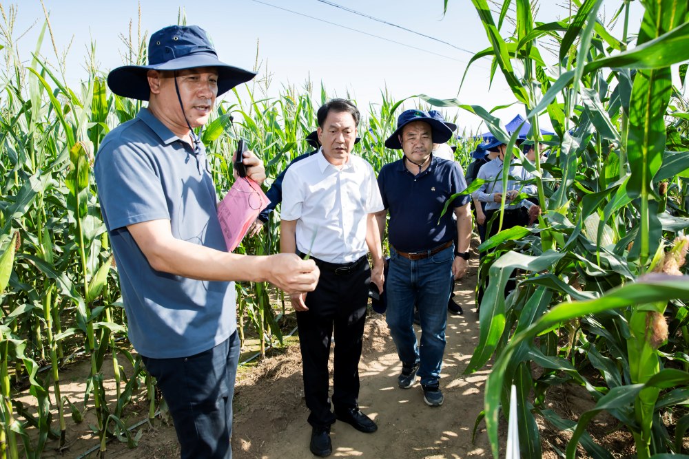 1760429809172.jpg 1_副本.jpg