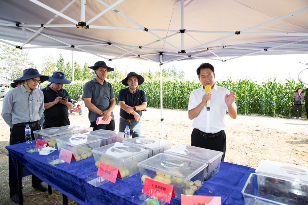 1760429823653.jpg 3_副本.jpg