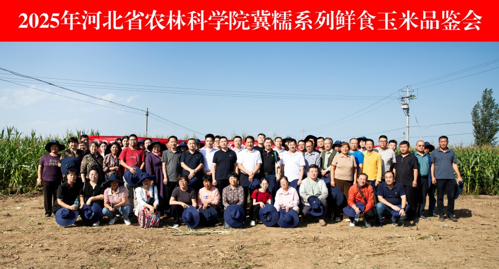 1760429829845.jpg 4_副本.jpg