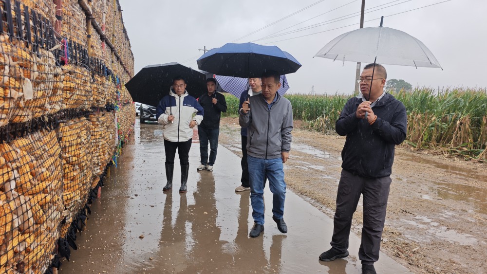 1760431253095.jpg 1_副本.jpg