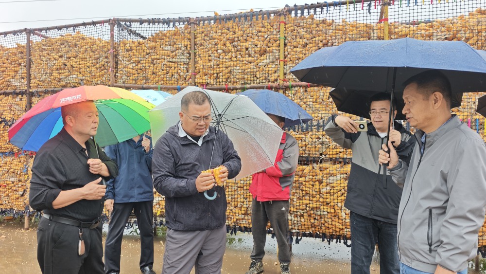 1760431258682.jpg 2_副本.jpg