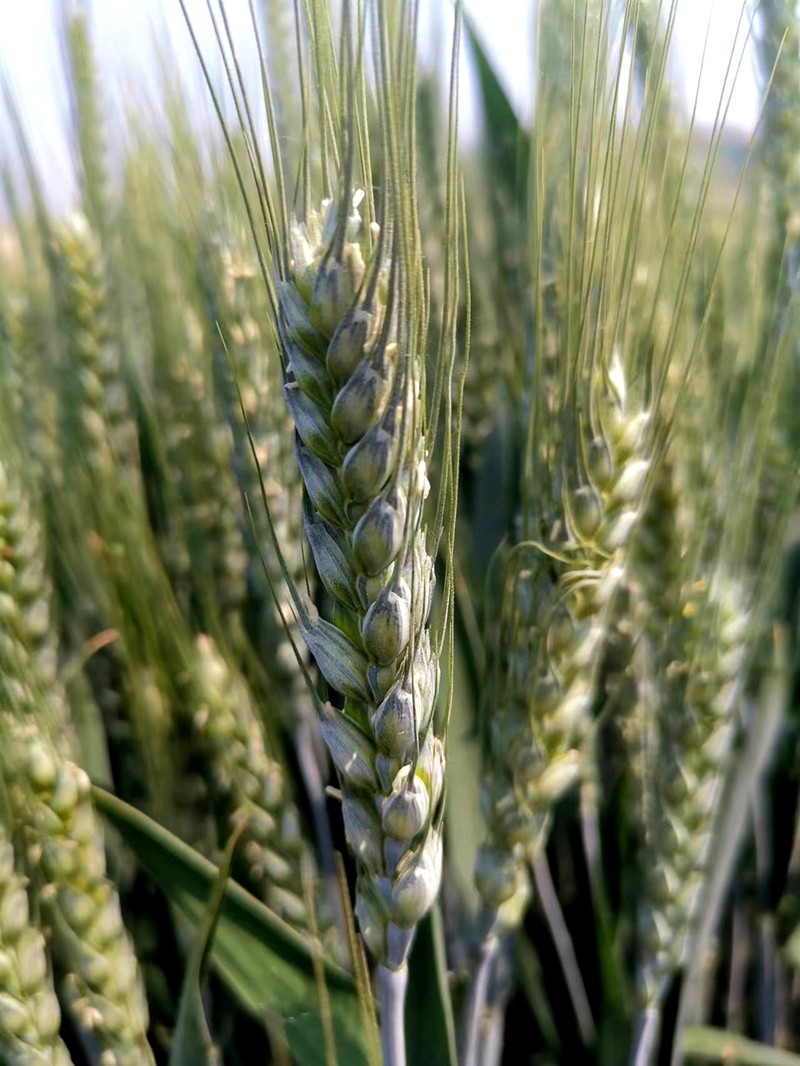 1760432985578.jpg 1.jpg