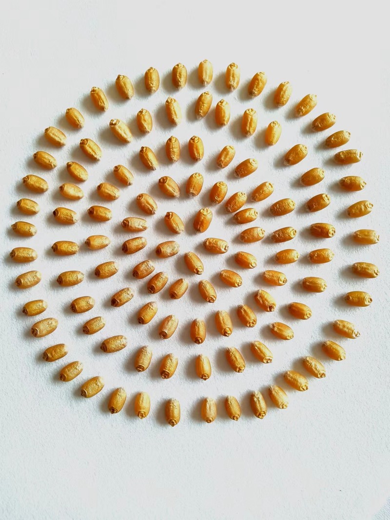 1760432994240.jpg 2.jpg