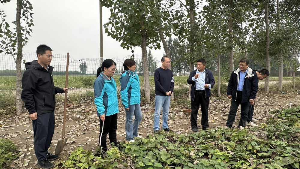 1760940447680.jpg 1_副本.jpg