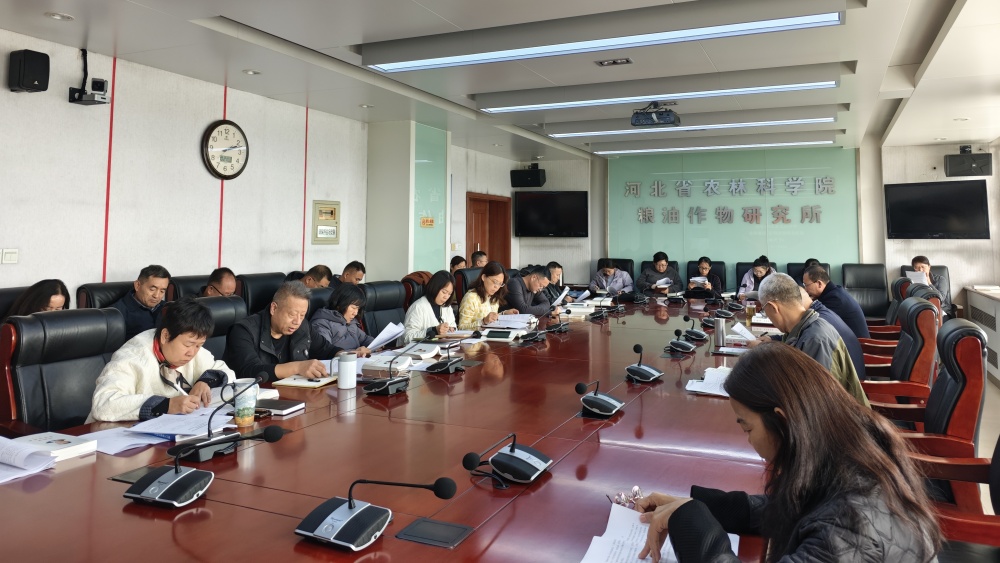 1761634564676.jpg 3_副本.jpg