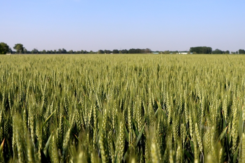 1761703849090.jpg 1_副本.jpg