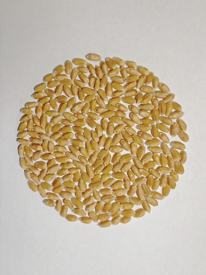 1761703855770.jpg 2_副本.jpg