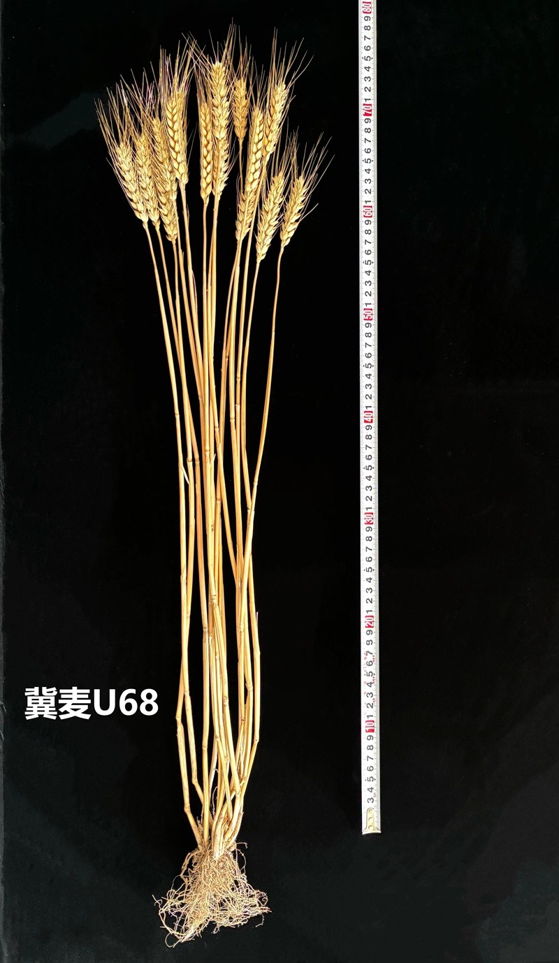 1761703862225.jpg 3_副本.jpg