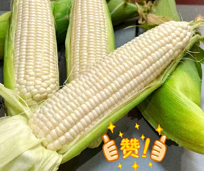 1761704382452.jpg 1.jpg