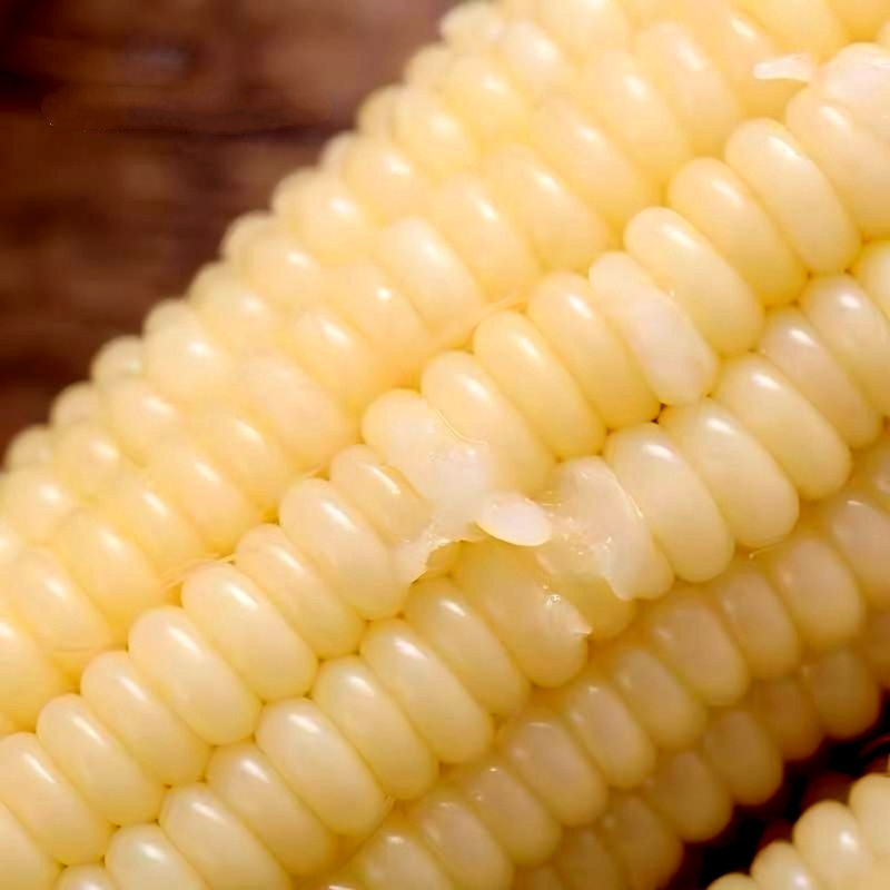 1761704388882.jpg 2.jpg