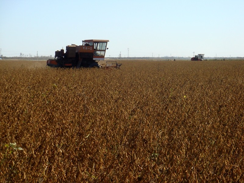 1761795406032.jpg 1.jpg