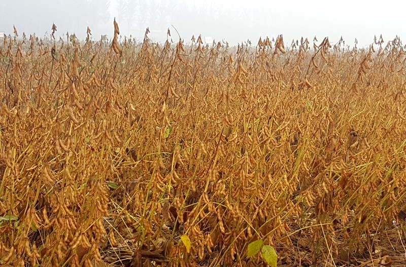 1761795412187.jpg 2.jpg