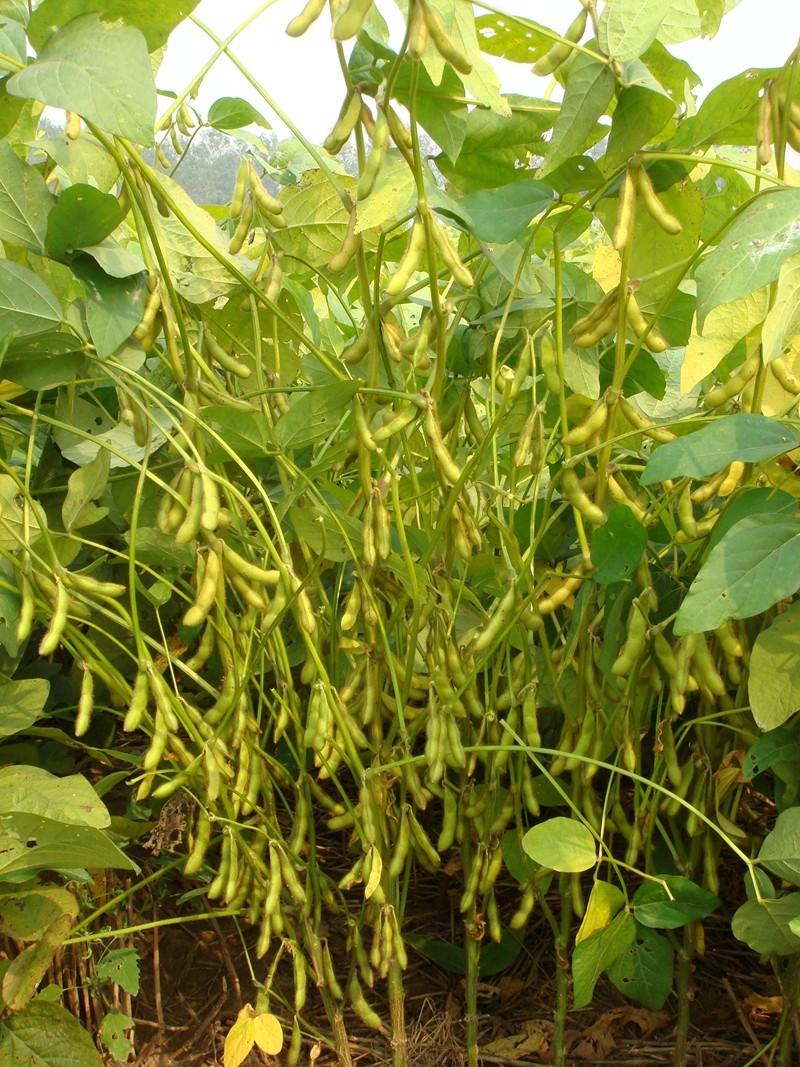 1761795418094.jpg 3.jpg