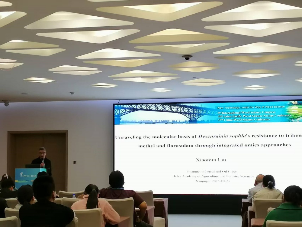 1762139480245.jpg 2_副本.jpg