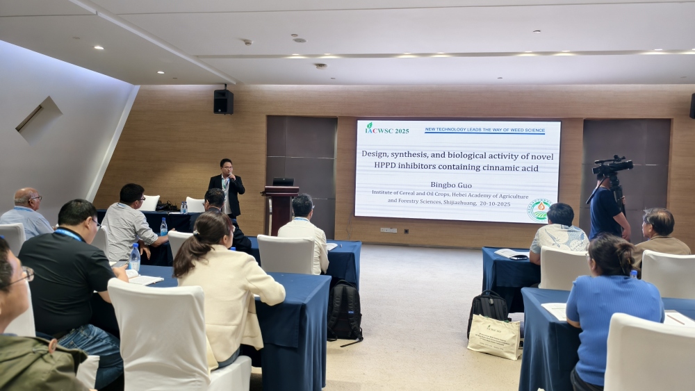 1762139486002.jpg 3_副本.jpg