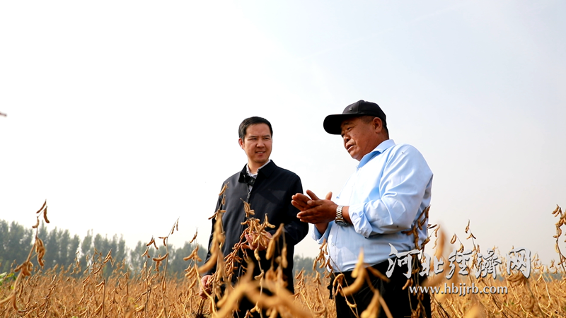 1762222348986.png 2.png