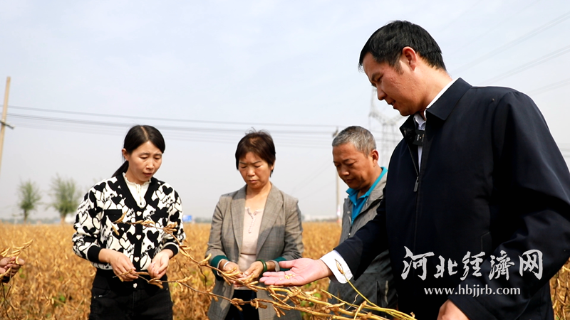 1762222363445.png 3.png