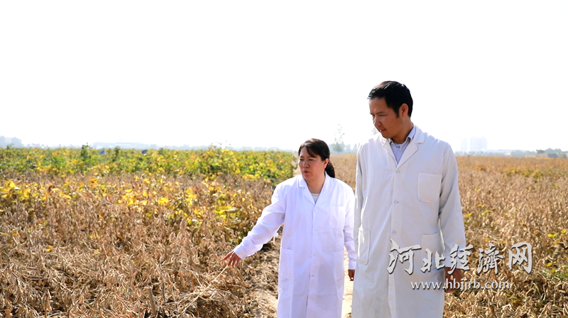 1762222393006.png 5.png