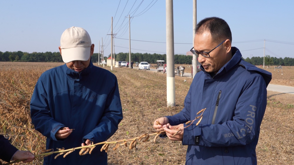 1762224265583.jpg 3_副本.jpg