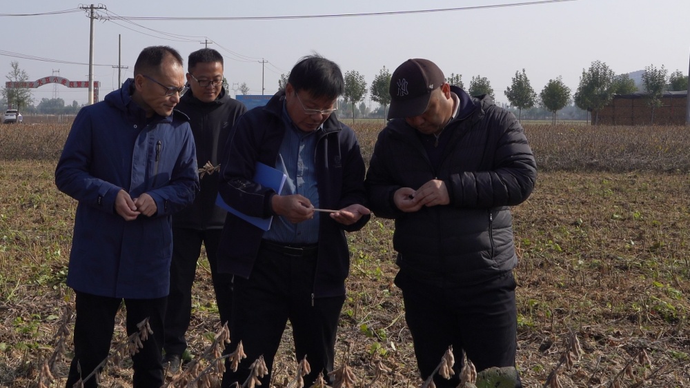 1762224271827.jpg 4_副本.jpg